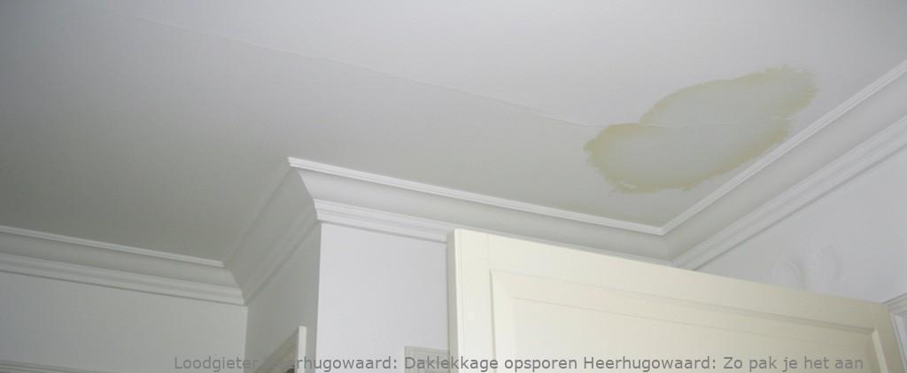 Daklekkage opsporen Heerhugowaard: Zo pak je het aan