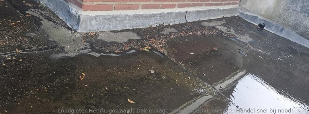 Daklekkage spoed Heerhugowaard: Handel snel bij nood!