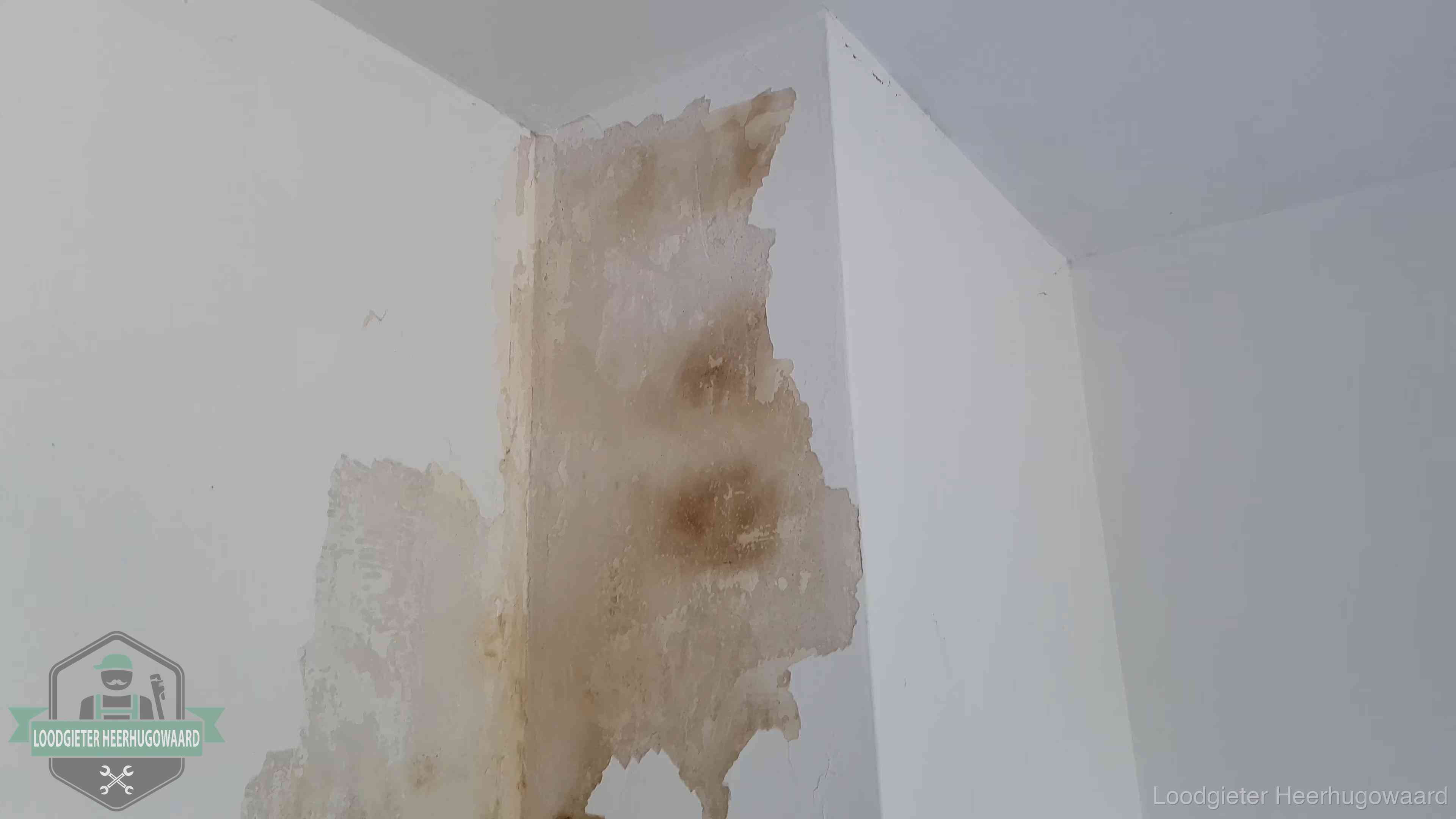 Daklekkage herkennen in Heerhugowaard Bruine vochtkringen en afbladderend stucwerk op een binnenmuur in Heerhugowaard, een eerste teken van daklekkage