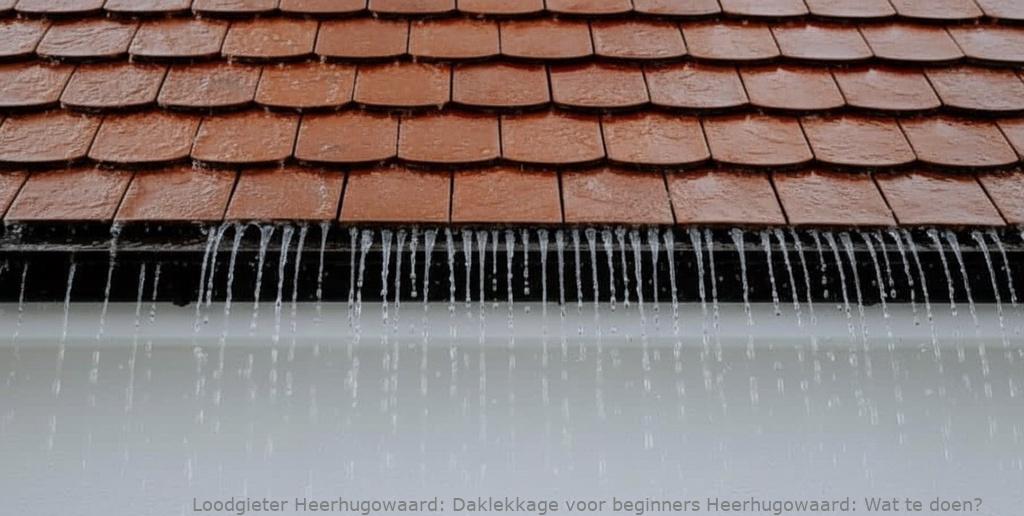 Daklekkage voor beginners Heerhugowaard: Wat te doen?