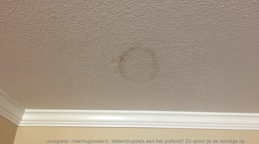 Waterdruppels aan het plafond? Zo spoor je de lekkage op