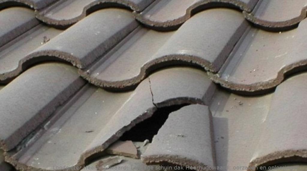 Lekkage schuin dak Heerhugowaard: oorzaken en oplossingen
