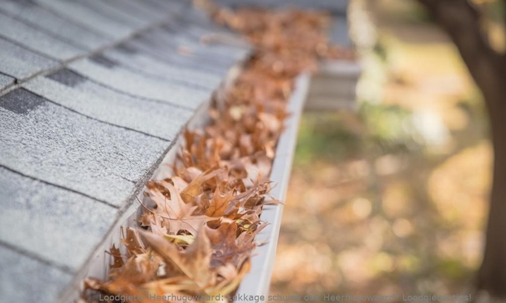 Lekkage schuine dak Heerhugowaard? Loodgieter tips!