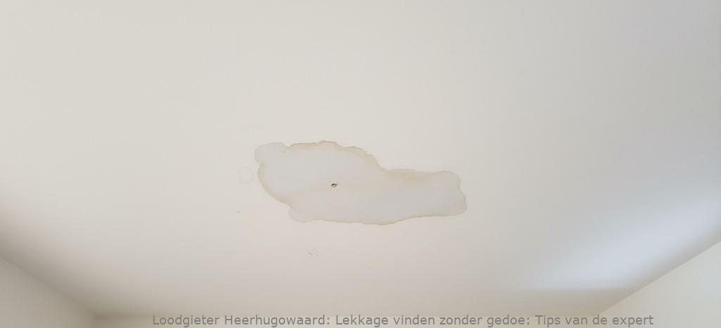 Lekkage vinden zonder gedoe: Tips van de expert