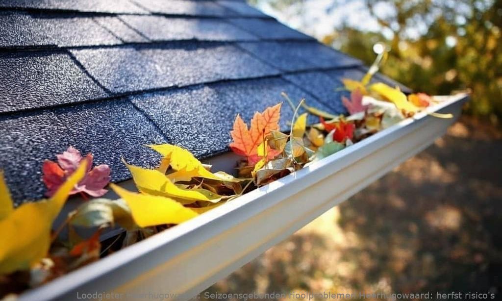 Seizoensgebonden rioolproblemen Heerhugowaard: herfst risico’s