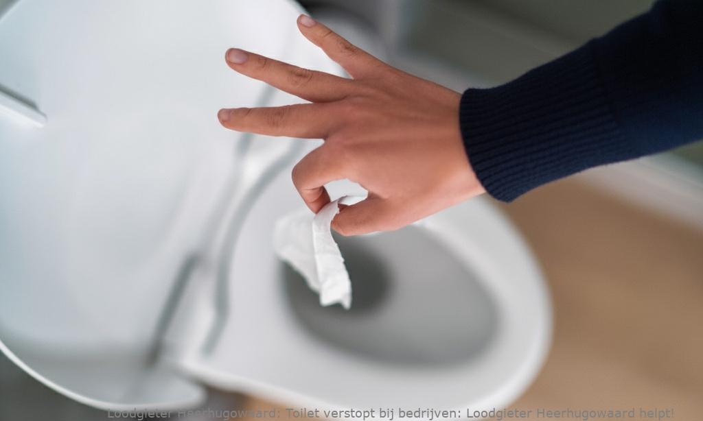 Toilet verstopt bij bedrijven: Loodgieter Heerhugowaard helpt!