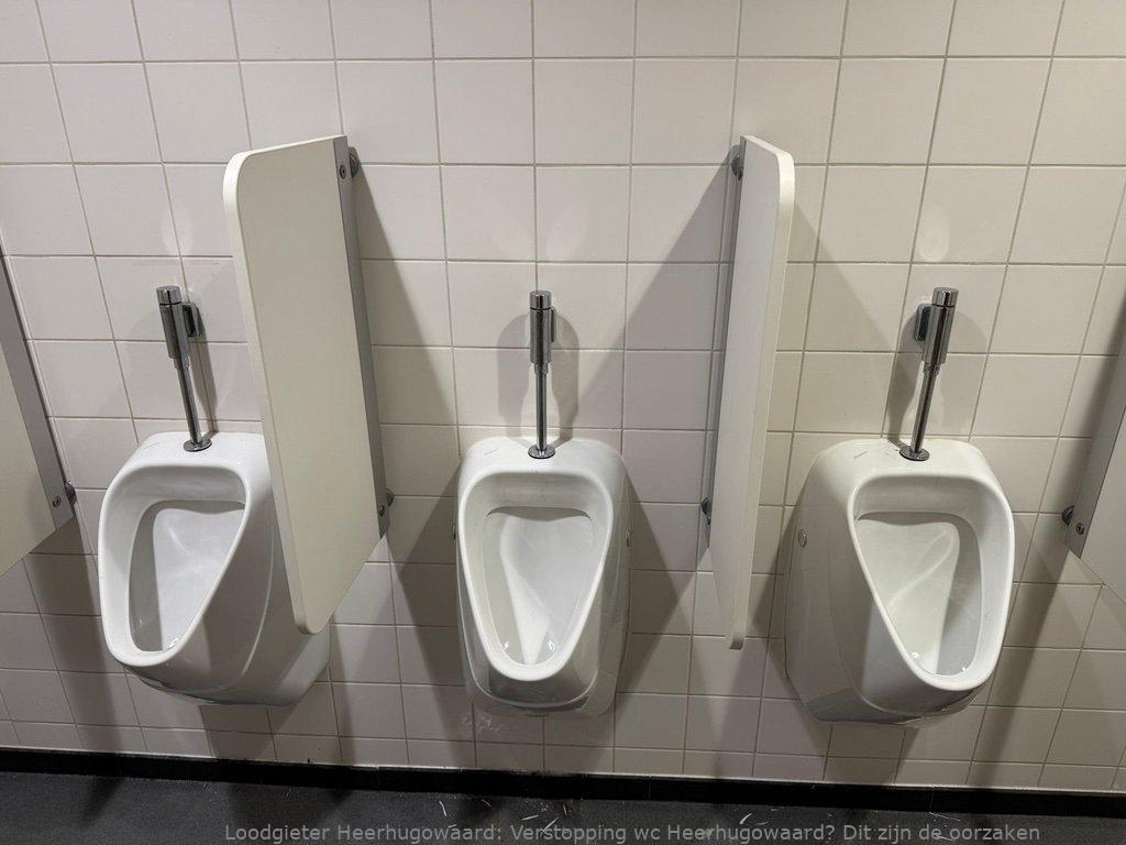 Verstopping wc Heerhugowaard? Dit zijn de oorzaken