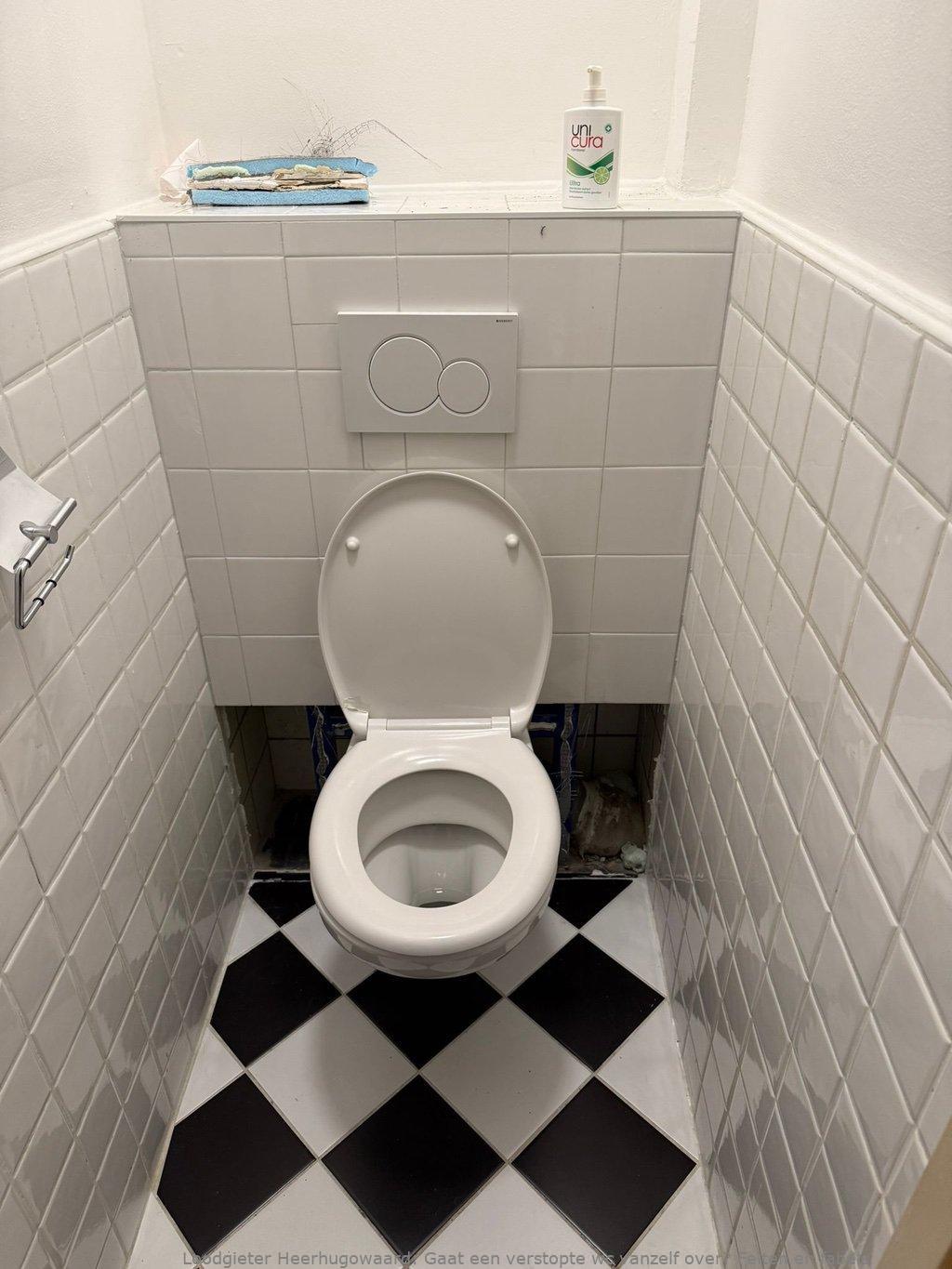 Gaat een verstopte wc vanzelf over? Feiten en fabels