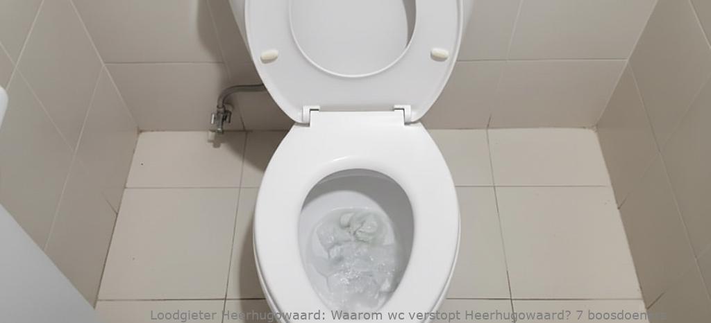 Waarom wc verstopt Heerhugowaard? 7 boosdoeners