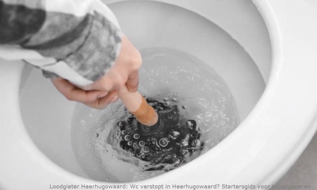 Wc verstopt in Heerhugowaard? Startersgids voor huiseigenaren